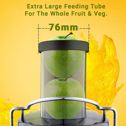 Inalsa Duronic 900 Juice Extractor